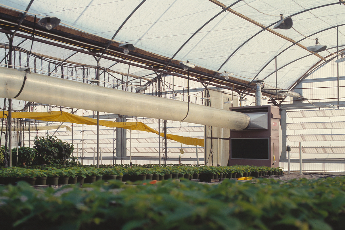 Go Green this Summer with Celmec’s Evaporative Cooling Systems